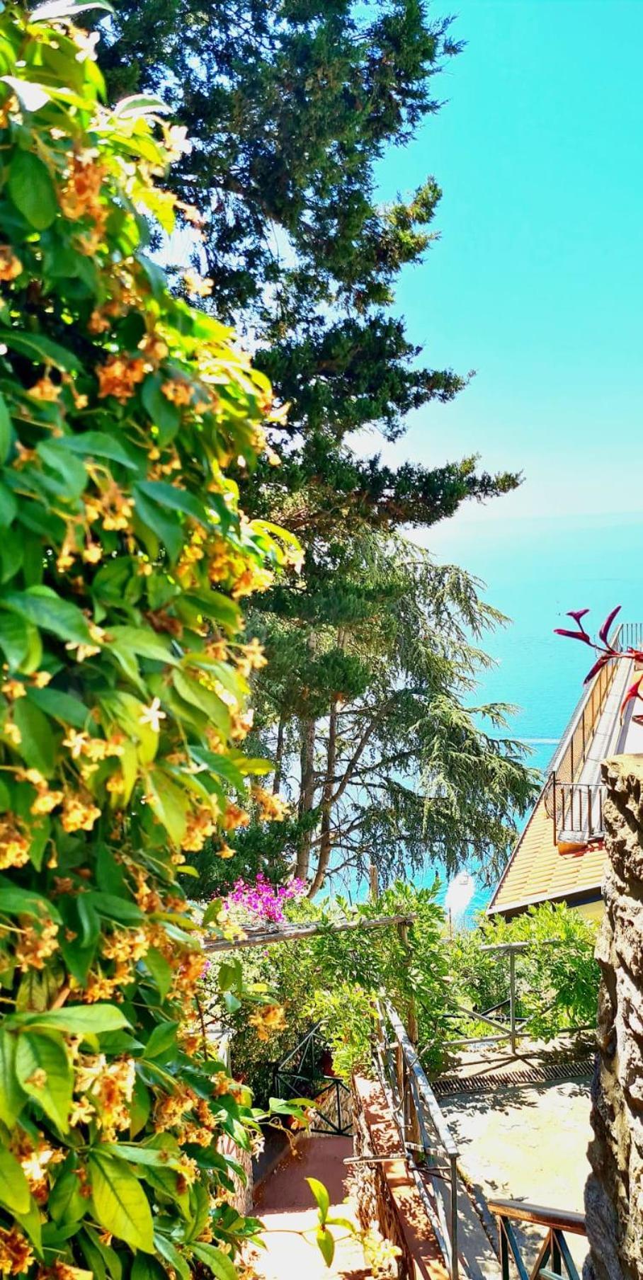 Villa Blu Costiera Amalfi Eksteriør billede